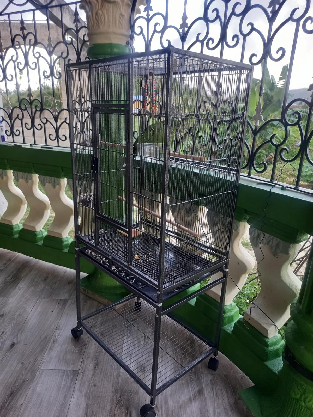 VEVOR Bird Cage, 32.7 x 31.1 x 82.7 inch, Open Flat Top, Wrought Iron Bird Flight Cage with Perches, Slide-Out Tray, Plastic Feeders, for Cockatiel, Monk Parakeet, Amazon Parrot, African Grey Parrot customer photo 2