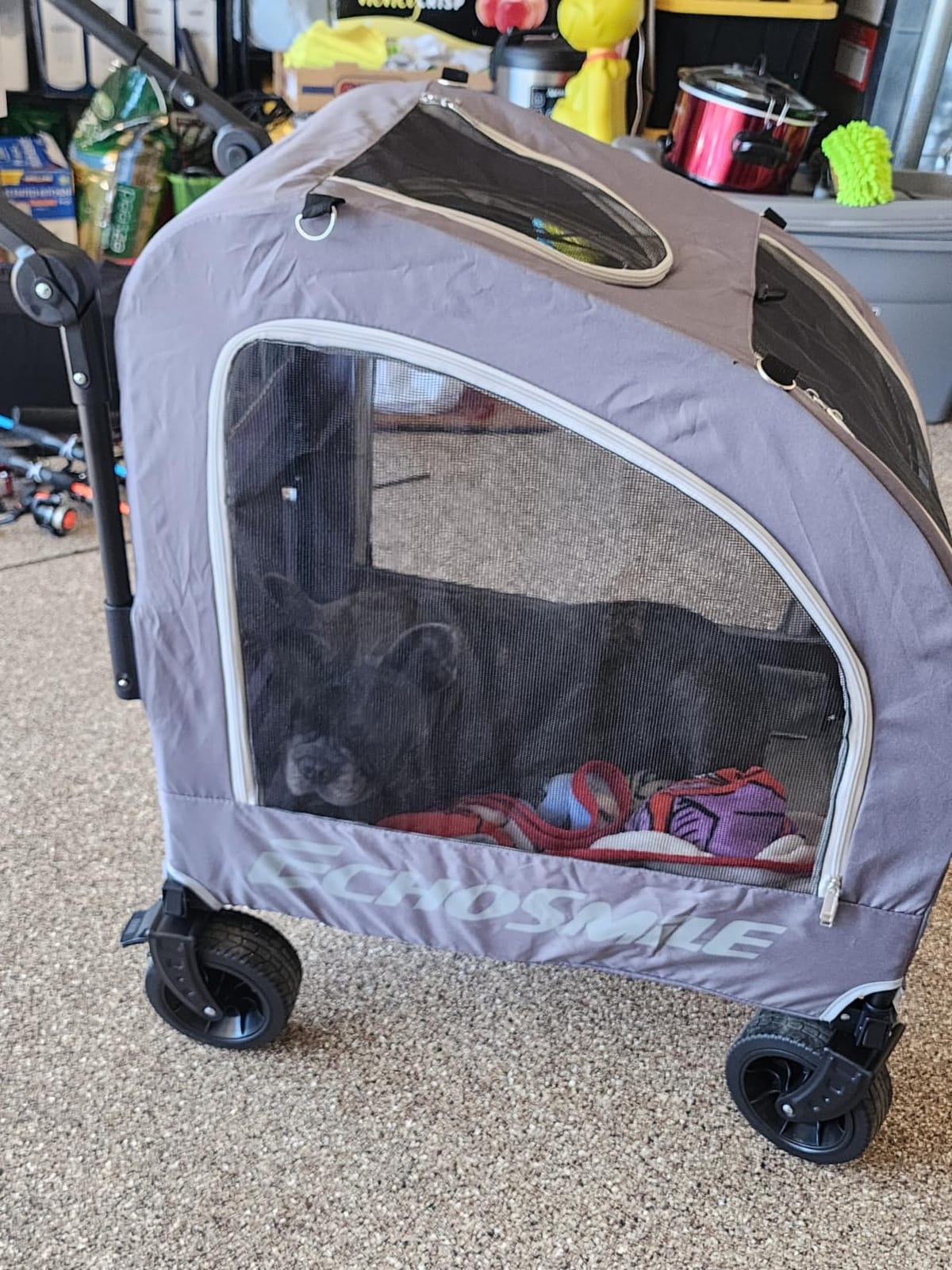 EchoSmile 4-Wheel Pet Stroller for Dogs & Cats, Up to 135 lbs, Orange customer photo 2
