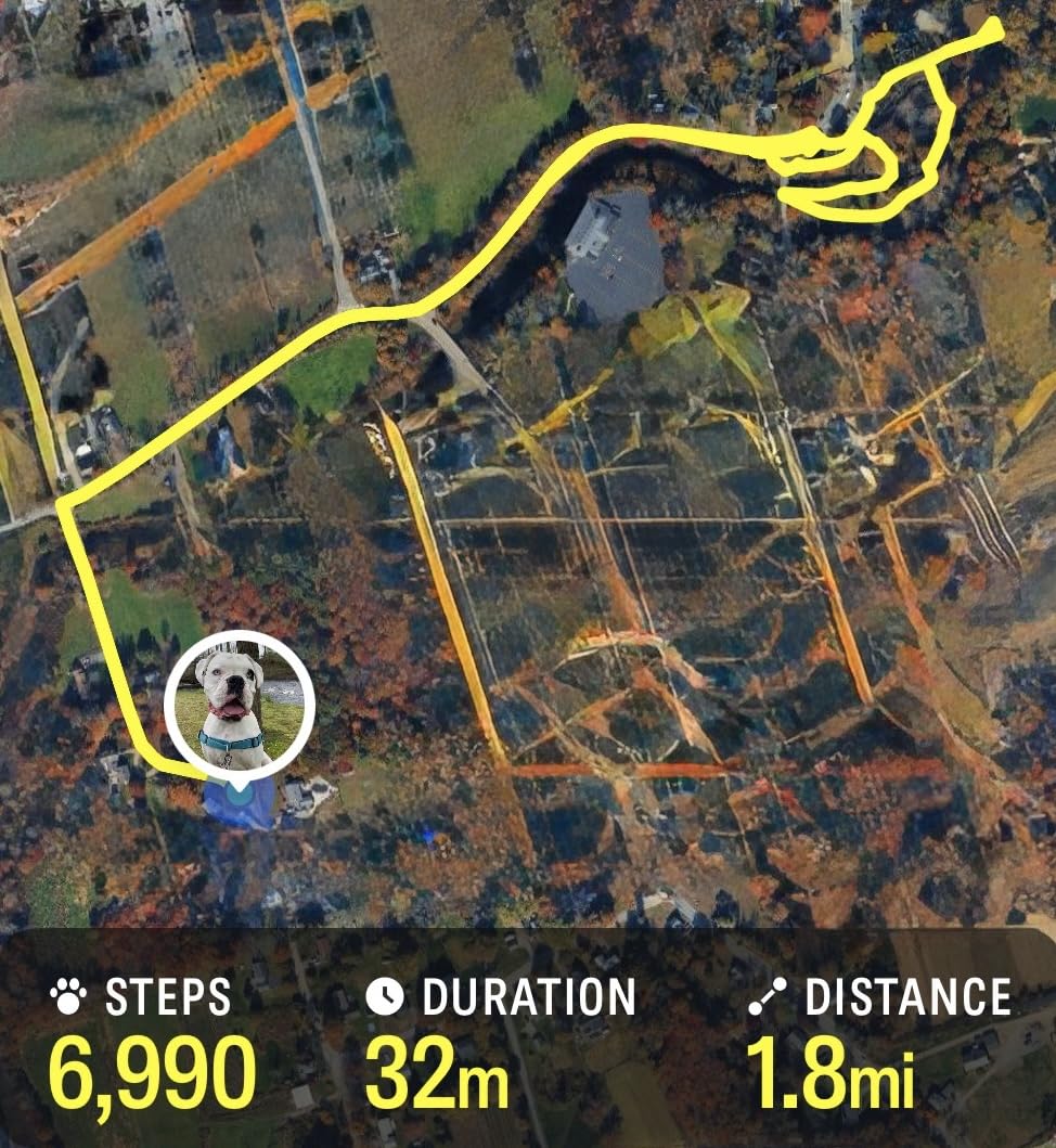 GEGOPet – Real-Time GPS Pet Tracker for Dogs & Cats, Unlimited Range, Safe Zones, Escape Alerts, Location History, Activity & Wellness Insights. Active Subscription Required. customer photo 1