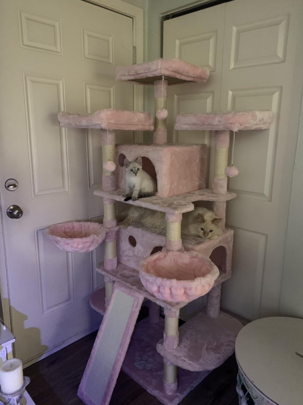 SHA CERLIN 81 Inches Extra Large Cat Tree for Indoor Adult Cats/XXL Big Cat Tower with Condo/Cozy Perches/Sisal Scratching Posts and Hammocks/Activity Center/F80/Heavy Duty/Dark Grey customer photo 2