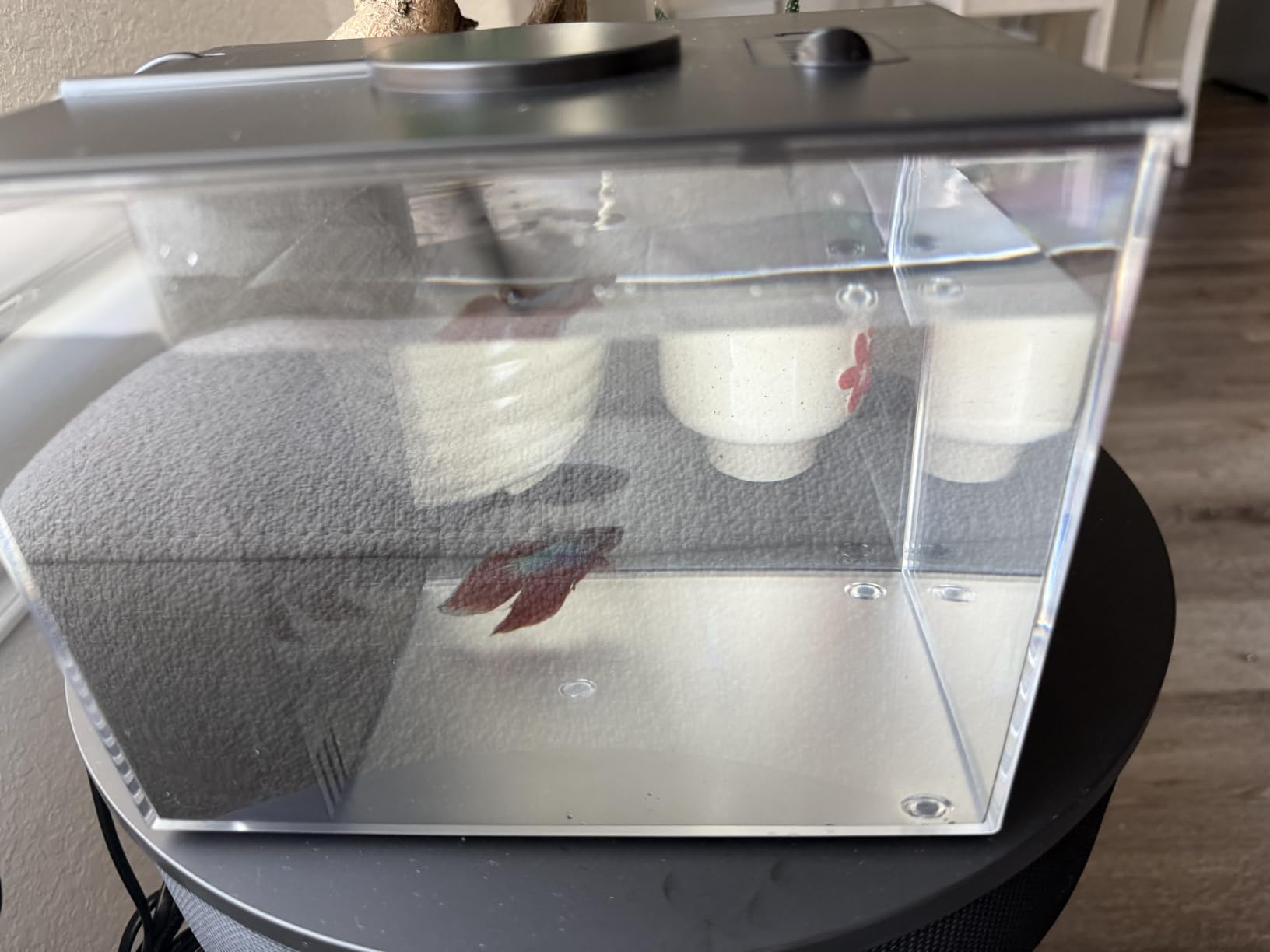 Vehipa Betta Fish Tank 1 Gal (3.7L), Acrylic Nano Aquarium Kit Black customer photo 2