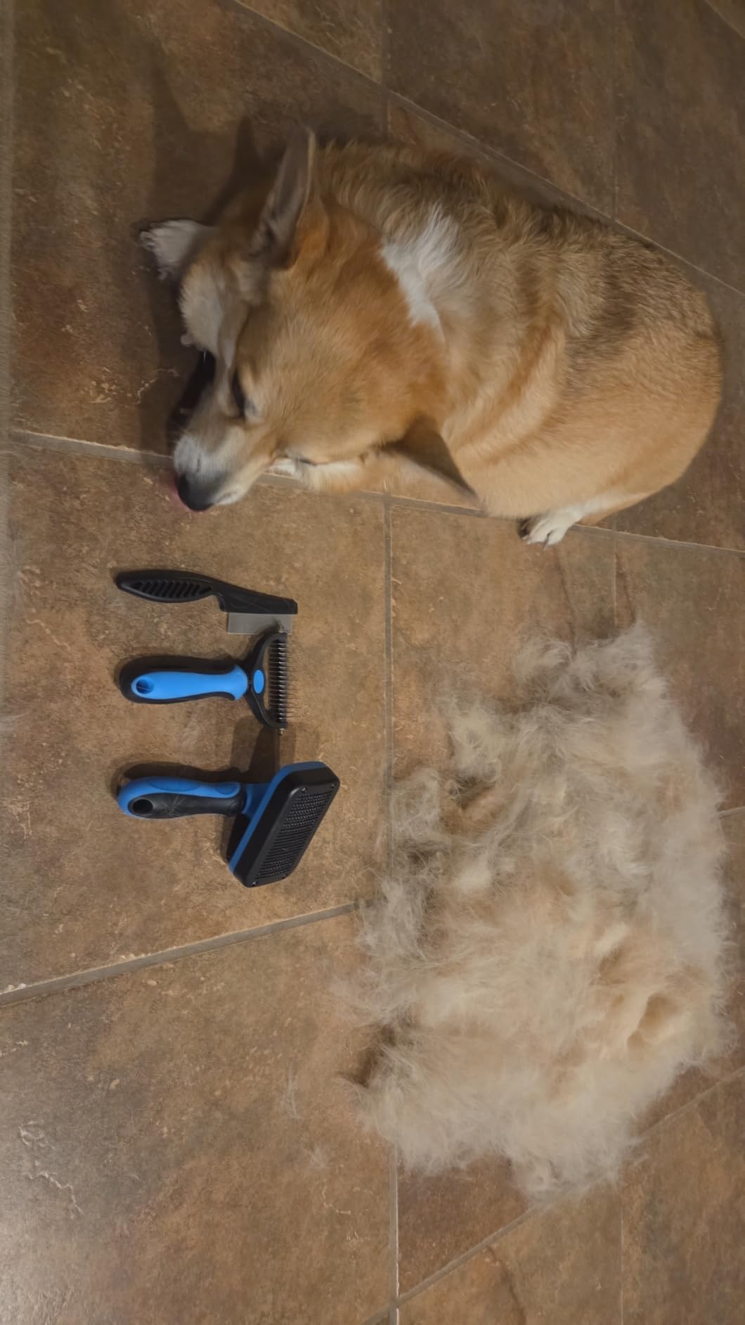 Professional 3PCS Self Cleaning Slicker Brush & Pet Grooming Rake & Flea Comb for Dogs,Cats and Horses | Double-Sided Dematting Comb & Skin Friendly Deshedding Grooming Tool | Pet Supplies customer photo 1