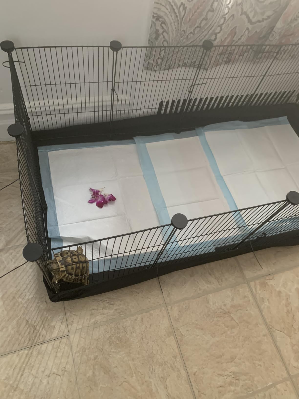 SONGMICS Pet Playpen, Clear Plastic Modular Enclosure, DIY Indoor Fence customer photo 1