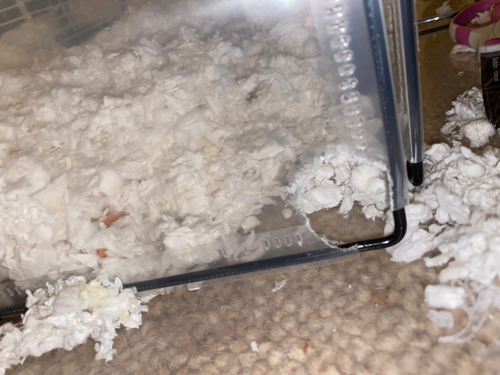 SONGMICS Pet Playpen, Clear Plastic Modular Enclosure, DIY Indoor Fence customer photo 2