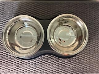 Automatic Wet Food Cat Feeder, 3 Days 5 Freshness Meals Refrigerated Auto Cat Feeder, Semiconductor Cooling & Heating with 304 Stainless Steel Bowl, Programmable Timer Cat Food Dispenser customer photo 1
