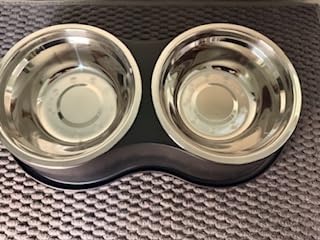 Automatic Wet Food Cat Feeder, 3 Days 5 Freshness Meals Refrigerated Auto Cat Feeder, Semiconductor Cooling & Heating with 304 Stainless Steel Bowl, Programmable Timer Cat Food Dispenser customer photo 2